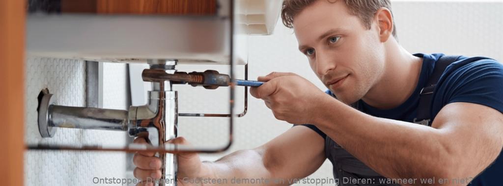 Gootsteen demonteren verstopping Dieren, Zelf of hulp?