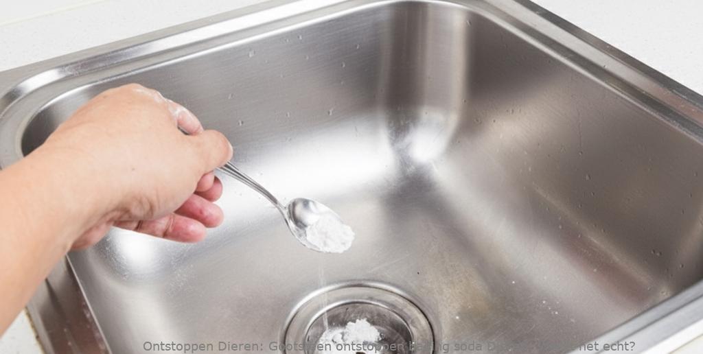 Gootsteen ontstoppen baking soda Dieren: Werkt het echt?