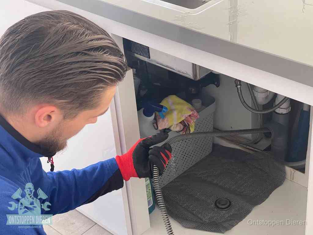 Een monteur voert een flexibele ontstoppingsveer in onder het keukenkastje, langs de sifon, om de gootsteen te ontstoppen in Dieren