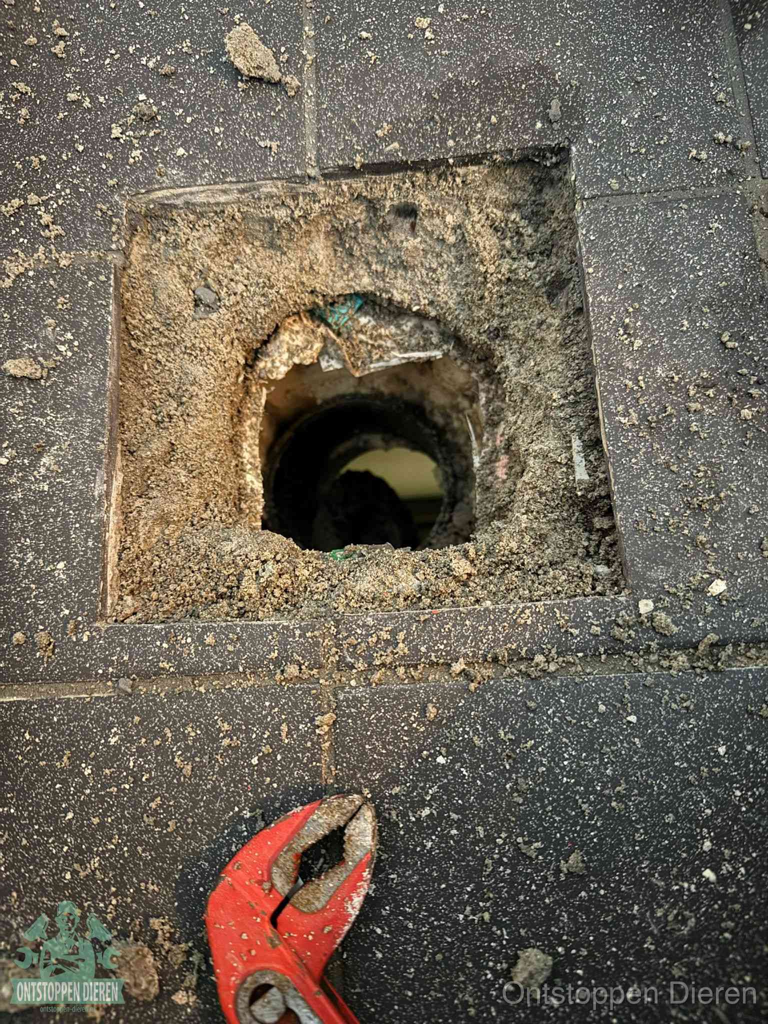 Een geopend rioolputje in een betontegelvloer met losgemaakt rooster en een zichtbare ronde afvoerbuis, het achterhalen waar de afvoerverstopping zit in Dieren
