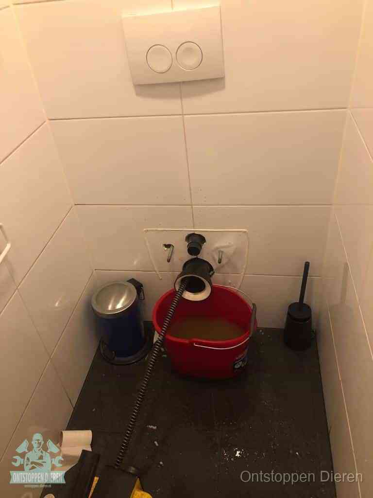 Een ontstopte wand-wc met verwijderde toiletpot waar een ontstoppingsveer in de wanduitgang verdwijnt, het achterhalen waar de verstopping zit in Dieren