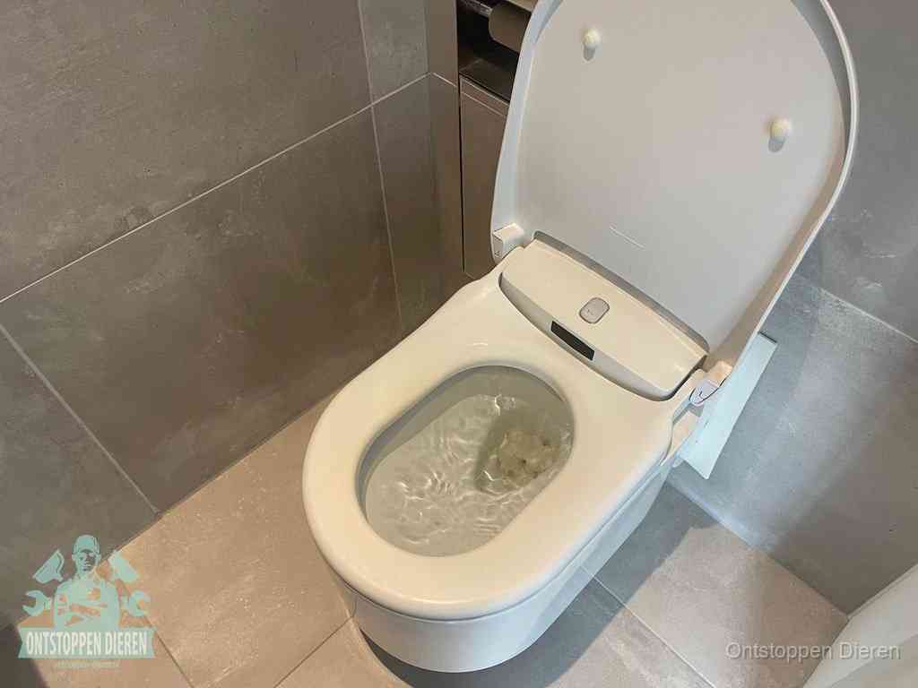 Een toiletpot vol troebel water met drijvend papier en restanten, de meest voorkomende oorzaak van een verstopte wc in Dieren