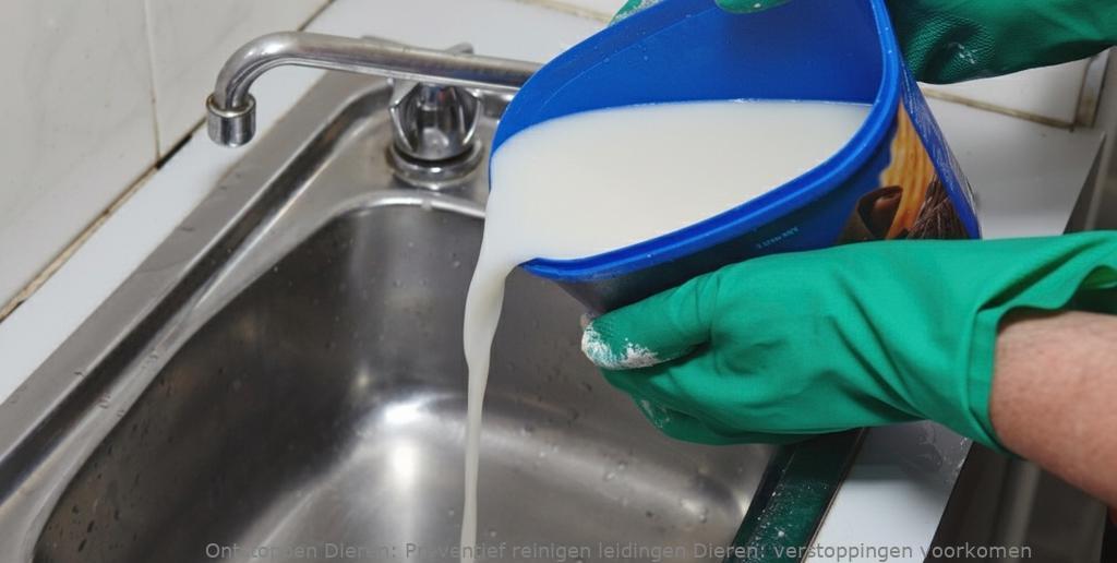 Preventief reinigen leidingen Dieren: verstoppingen voorkomen