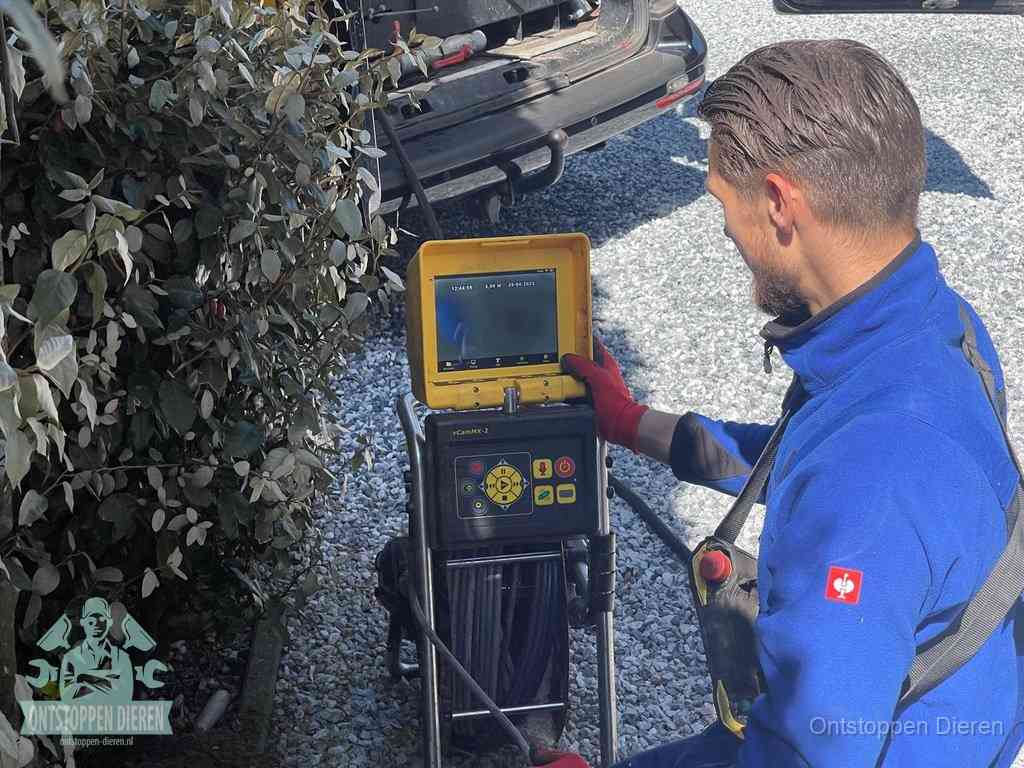 Rioolinspectie met camera in Dieren