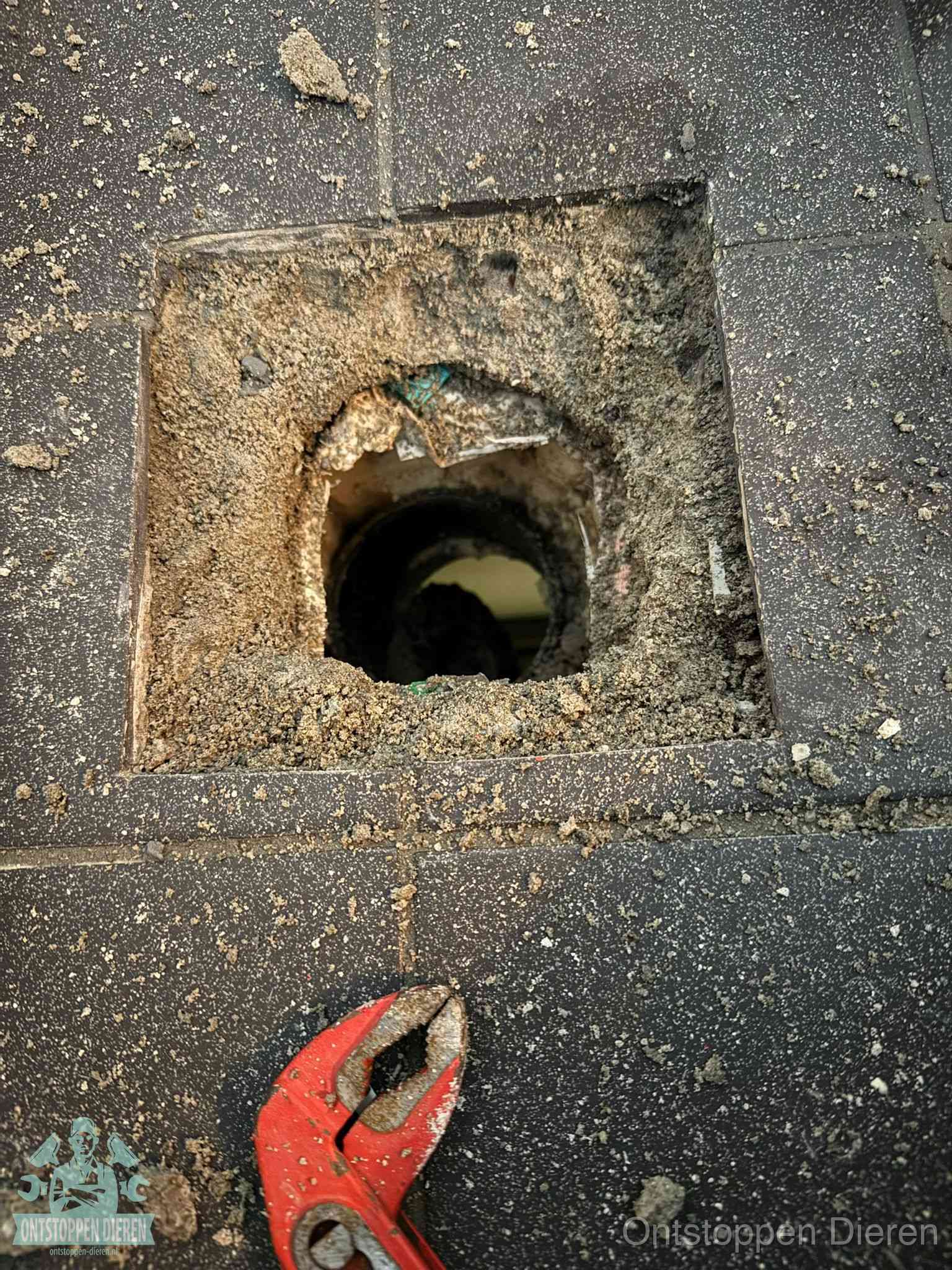 Rioolputje erfgrens eigendom in Dieren