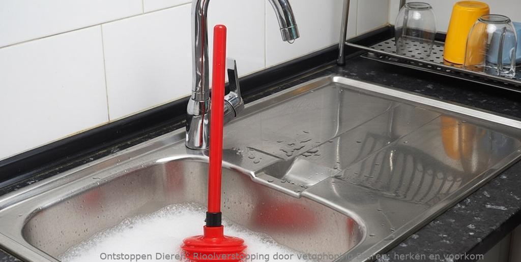 Rioolverstopping door vetophoping Dieren: herken en voorkom