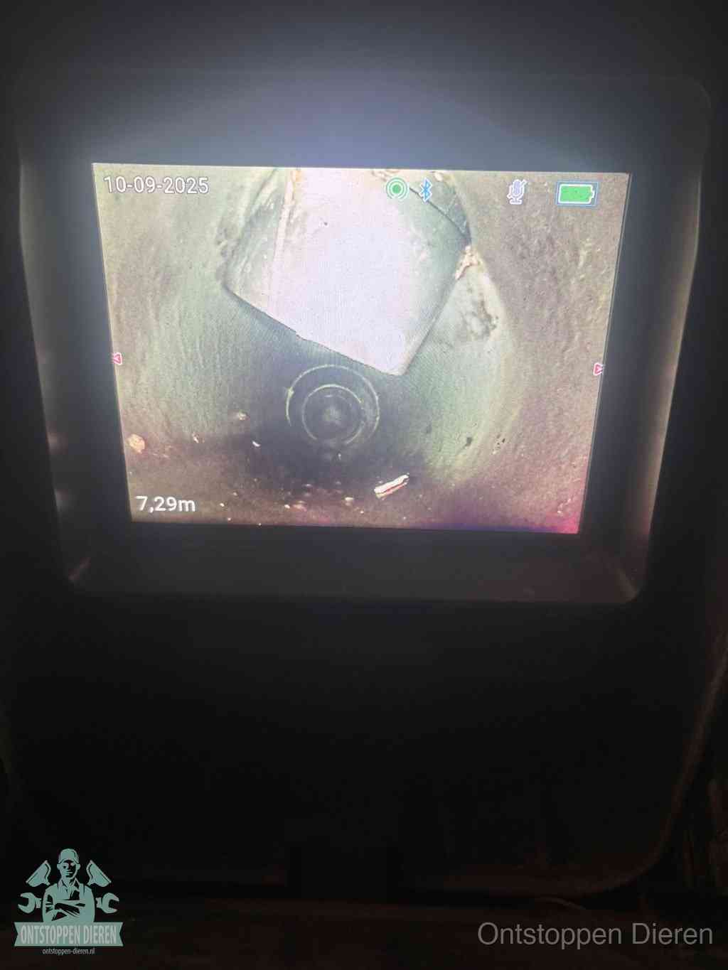 Rioolverzakking camerabeeld in Dieren