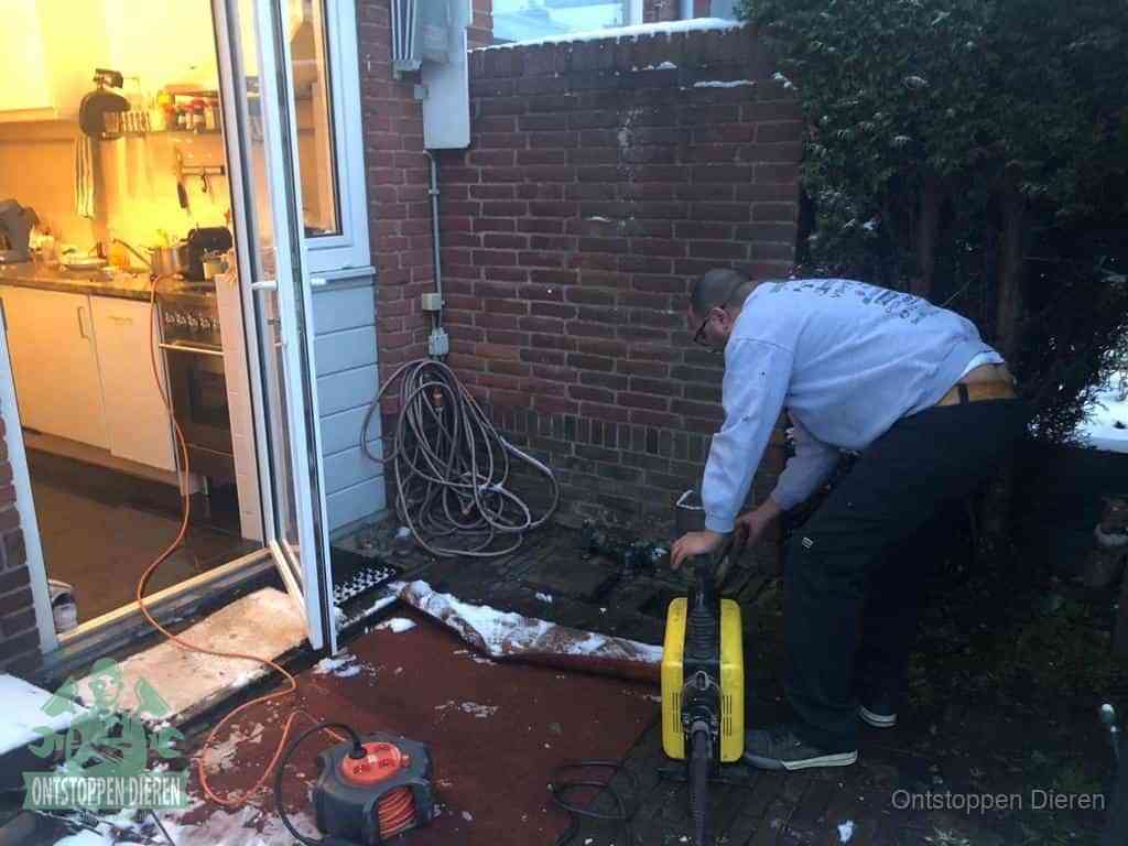 Een monteur werkt buiten bij een open riool-/grondput met een elektrische ontstoppingsmachine om een verborgen afvoerprobleem op te sporen in Dieren