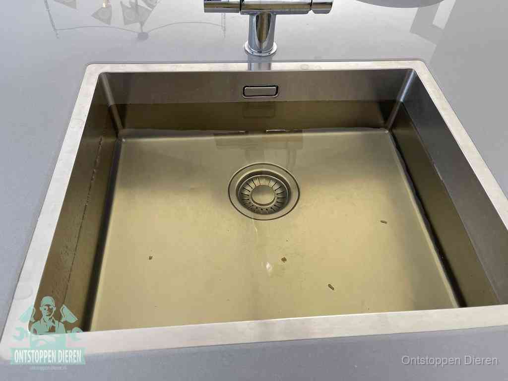 Stilstaand water in een rvs spoelbak dat niet wegloopt, een duidelijk signaal van een gootsteenverstopping in Dieren