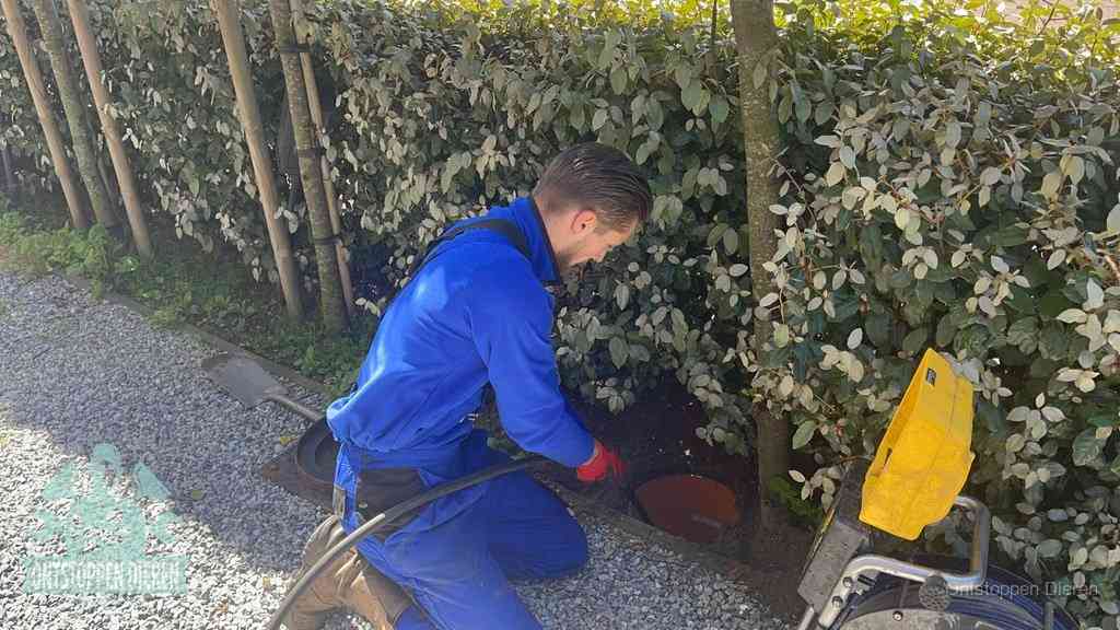 Signalen rioolverstopping herkennen in Dieren