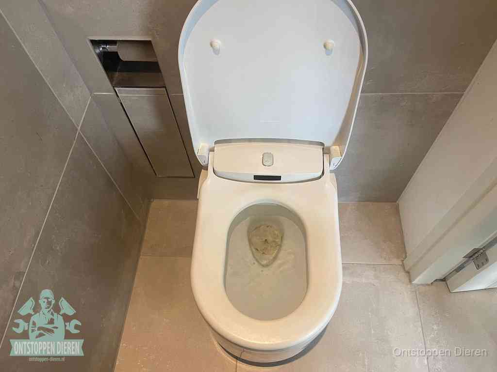 Een wit hangtoilet waarin een prop wc-papier op het water blijft drijven, een duidelijk signaal van een verstopte wc in Dieren