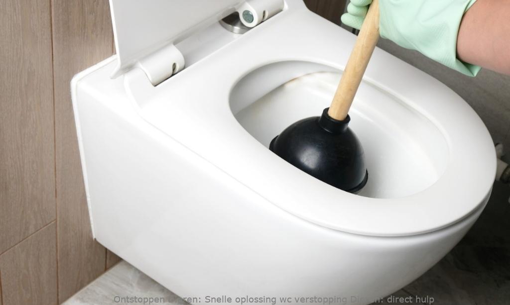 Snelle oplossing wc verstopping Dieren: direct hulp