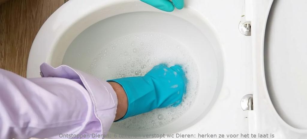 6 tekenen verstopt wc Dieren: herken ze voor het te laat is