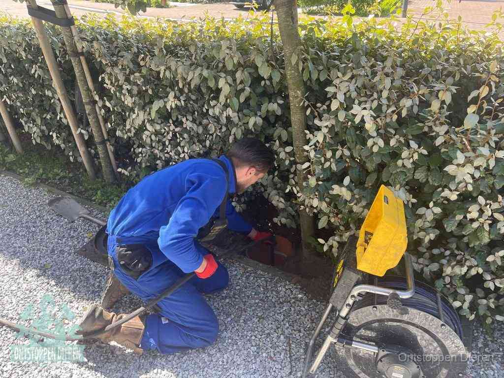 Vaatwasser Verstopping Ontstoppen Dieren