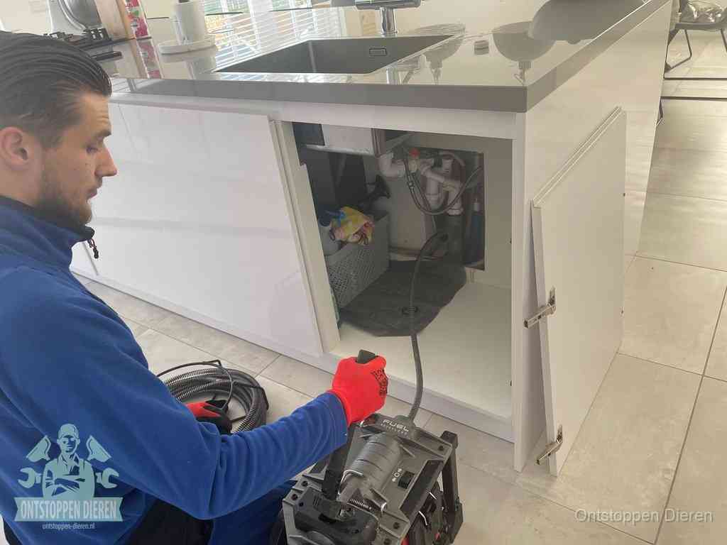 Verstopping per afvoer type in Dieren