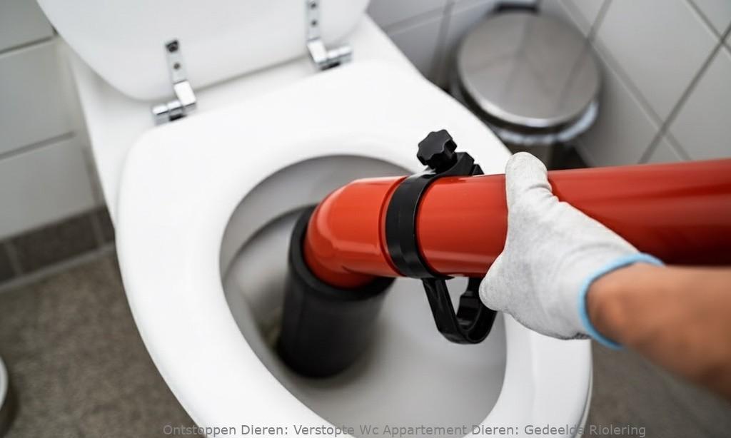 Verstopte Wc Appartement Dieren: Gedeelde Riolering