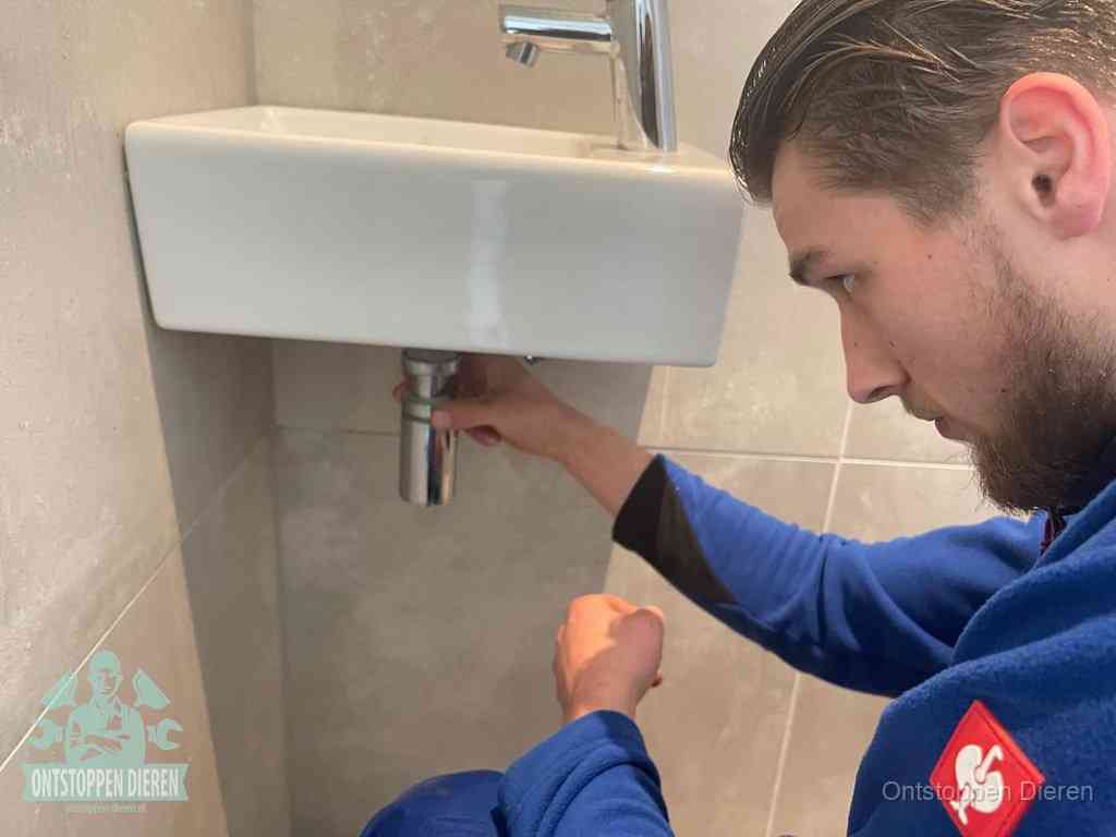 Wasbak Ontstoppen Dieren