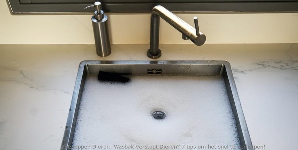 Wasbak verstopt Dieren? 7 tips om het snel te verhelpen!