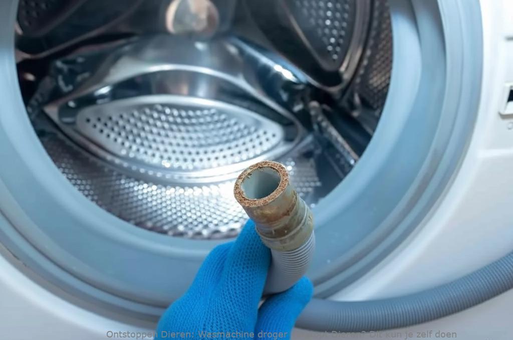 Wasmachine droger verstopt Dieren? Dit kun je zelf doen