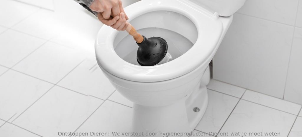 Wc verstopt door hygiëneproducten Dieren: wat je moet weten